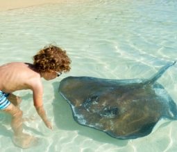 little-boy-with-stingray-cayman-islands