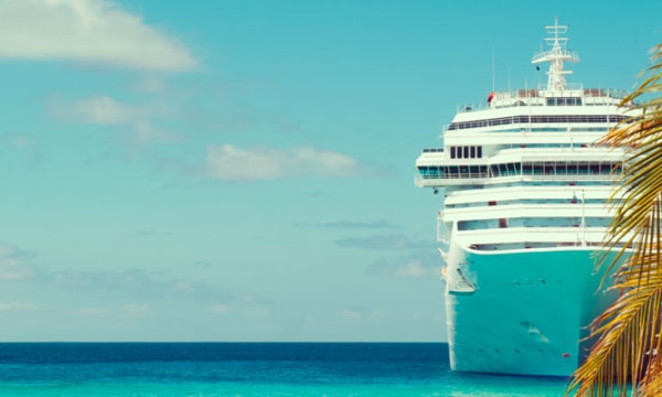 cruise-ship-behind-palm