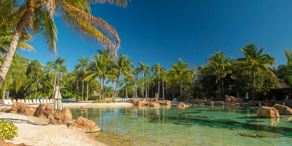 The Best Activities At Discovery Cove For Every Age