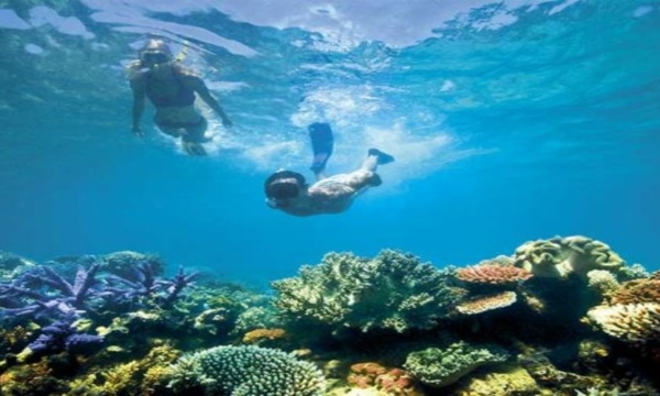 Luxury Lodges of Australia - Reef