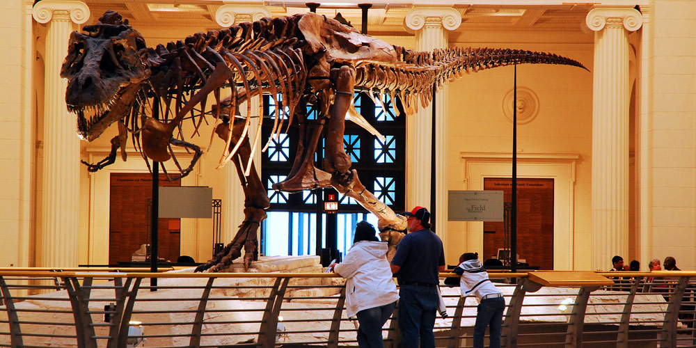 13 Dino Mite Spots For Dinosaur Obsessed Kids Family - 