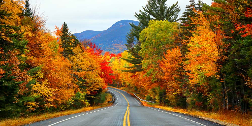 Family Traveller USA Follow the Foliage this Fall with Five New
