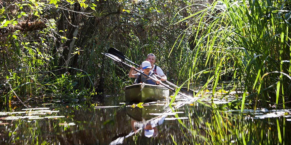 father-and-son-kayaking-through-swamps-in-Everglades-national-park