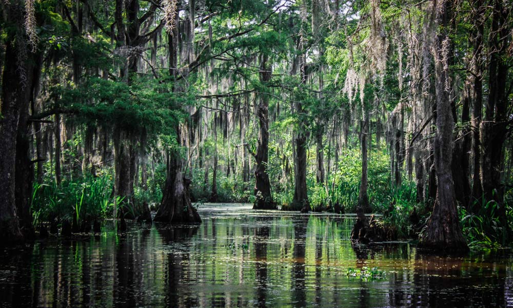 Jean Lafitte National Historic Park - Best National Parks Without the Crowds