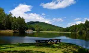 camping yogi bears jellystone north carolina