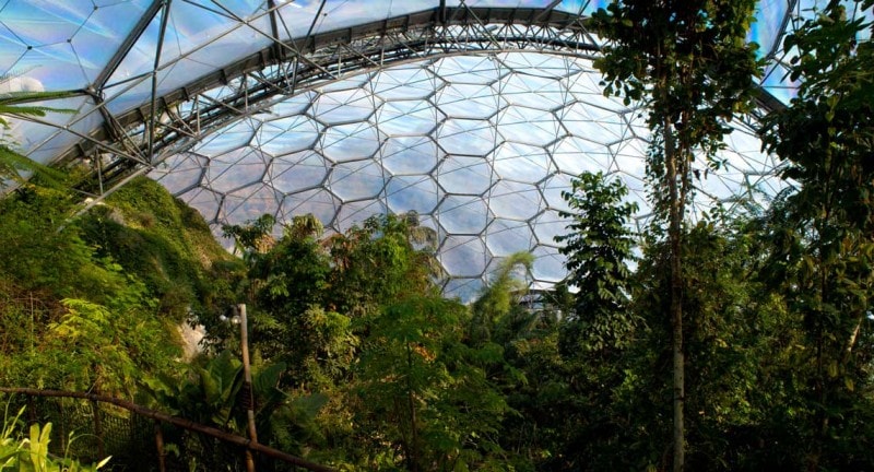 view-inside-the-rainforest-biodome-at-the-eden-project-st-austell-cornwall