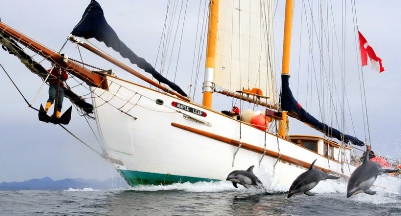 Gwaii hanaas sailing