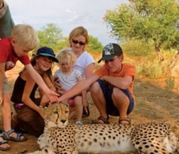 Nambia safari cheetah