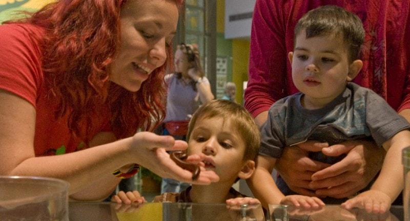 children look at a slow worm at insectarium montreal canada