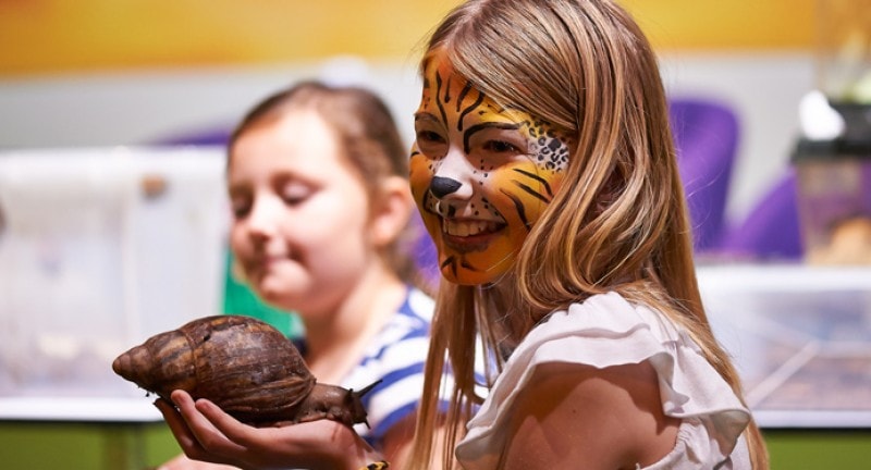 little girl with face paint on holds an african land snail at the london pet show