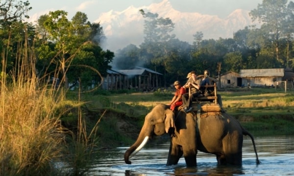 people on elephant back at chiwan national park nepal