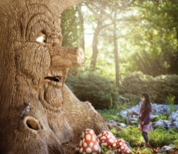 Fairytale Tree