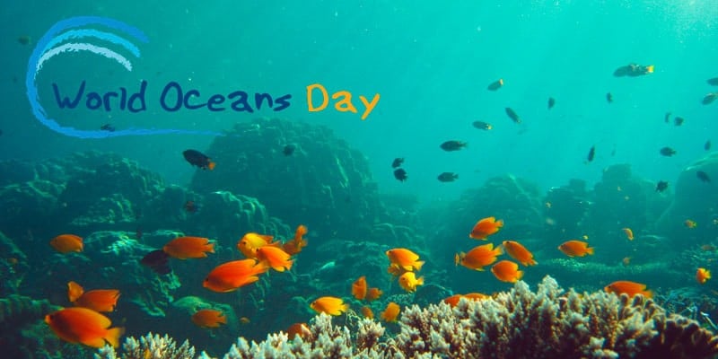 Coral reef with World Oceans day logo