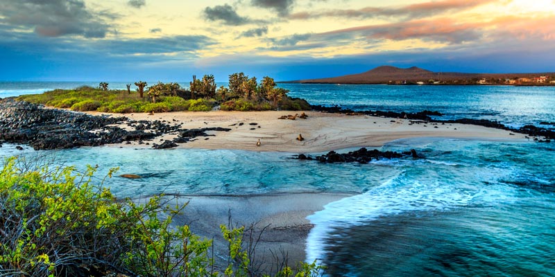 a castaway island in the Galapagos
