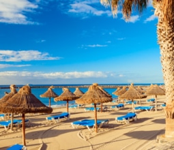 Los-Cristianos-tenerife-beach-with-tropical-sun-umbrellas-blue-skies-canary-islands-spain