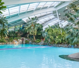 STSP-Indoor-Pool-Wide-August-2017-LF-01-copyright-centerparcs-feature Centerparcs Longleat Forest