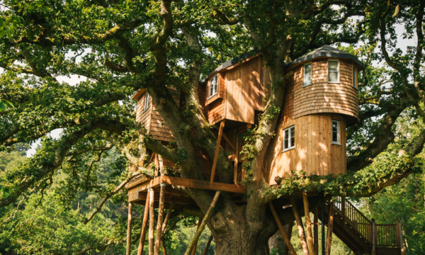 treetops-treehouse_pathway-to-treehouse
