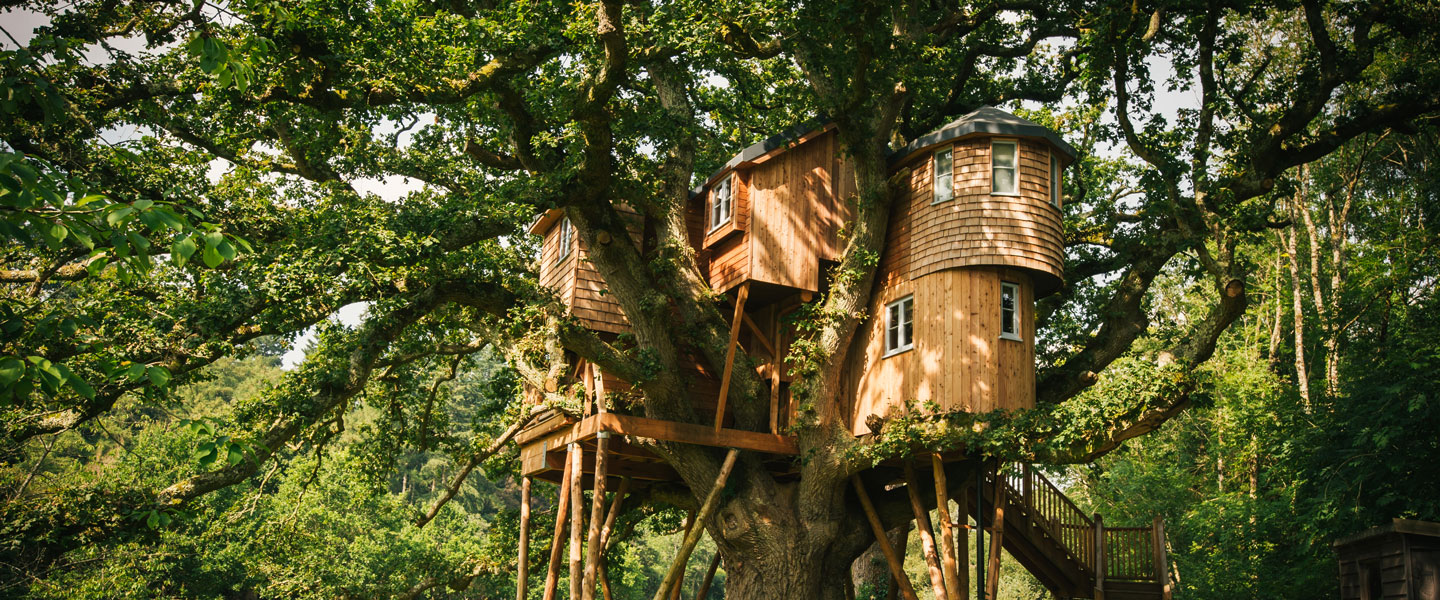 treetops-treehouse_pathway-to-treehouse