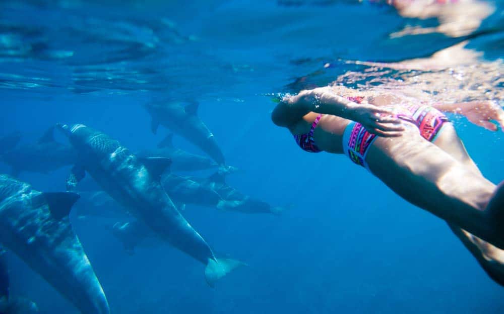 Woman-swimming-with-dolphins