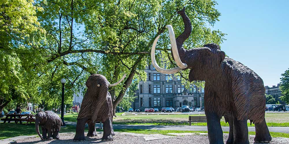take-kids-to-ottowa-in-2022-for-woolly-mammoths-at-the-canadian-museum-of-nature