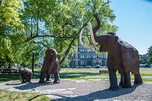 take-kids-to-ottowa-in-2022-for-woolly-mammoths-at-the-canadian-museum-of-nature