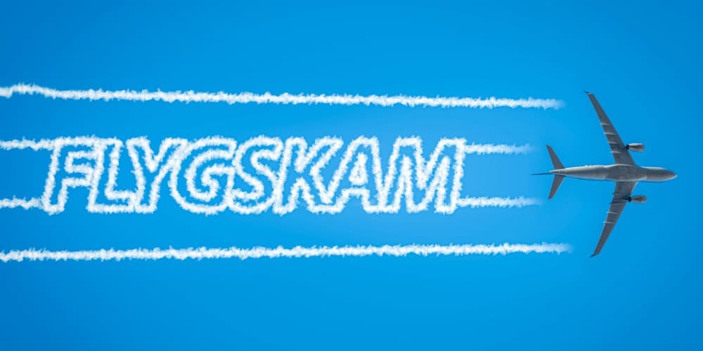 Flygskam: what is it and can it save the environment? - Family ...
