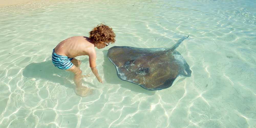 kid-in-swim-shorts-petting-stingray-stingray-city-cayman-islands-worlds-most-magical-places-for-kids