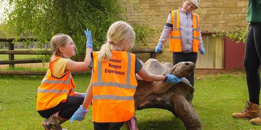 10 best fun family days out in The Cotswolds with kids